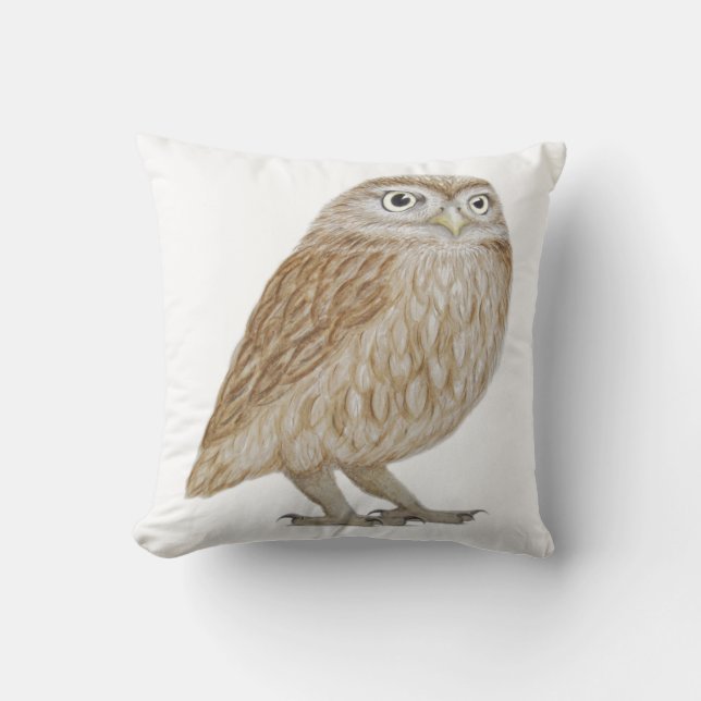 Little Owl 2011 Cushion (Front)