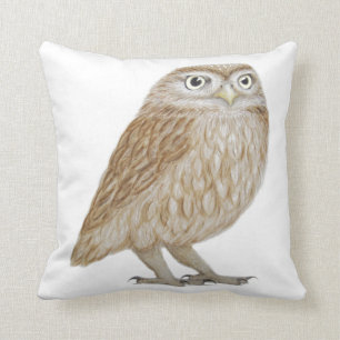 Little Owl 2011 Cushion