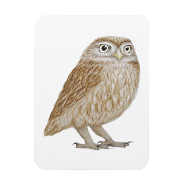 Little Owl 2011 Magnet (Vertical)