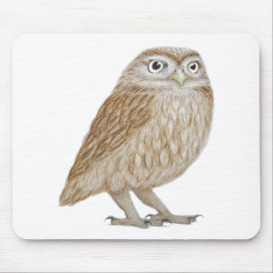 Little Owl 2011 Mouse Mat