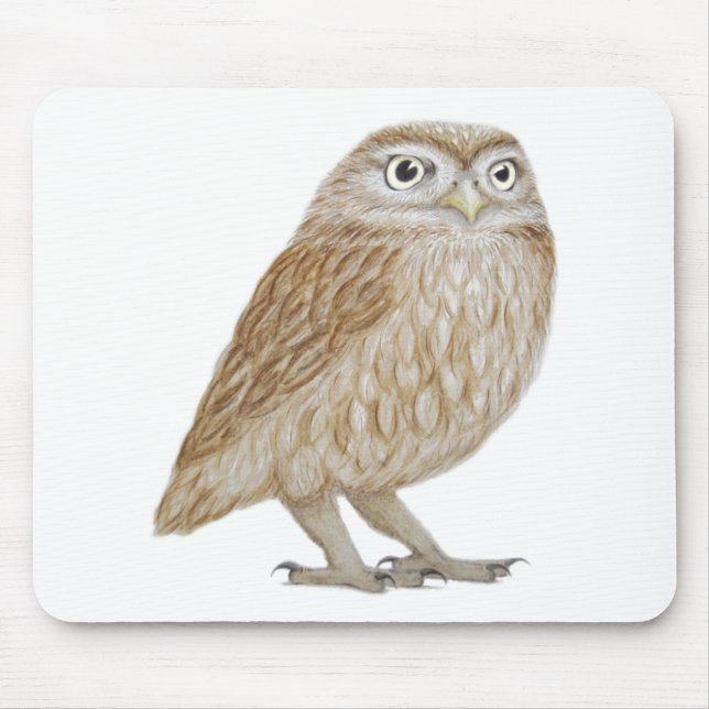 Little Owl 2011 Mouse Mat (Front)
