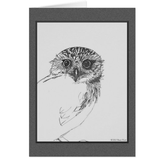 Little Owl Blank Note Cards