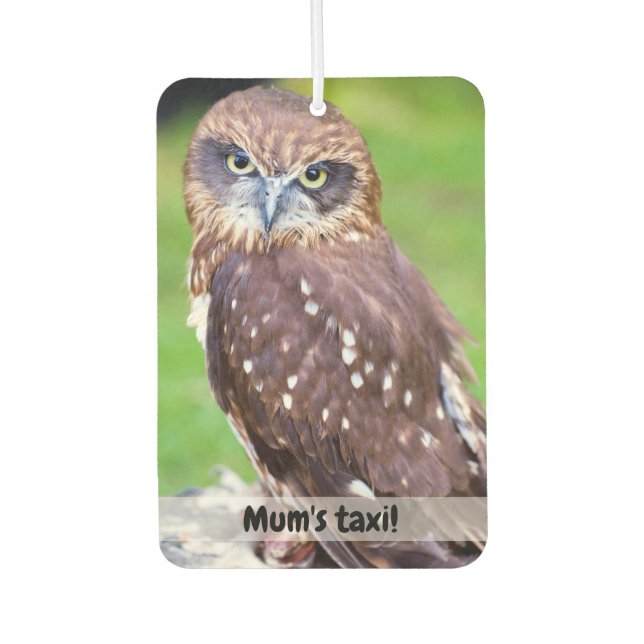 Little Owl Car air freshener (Front)