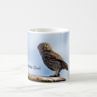 Little Owl Coffee Mug