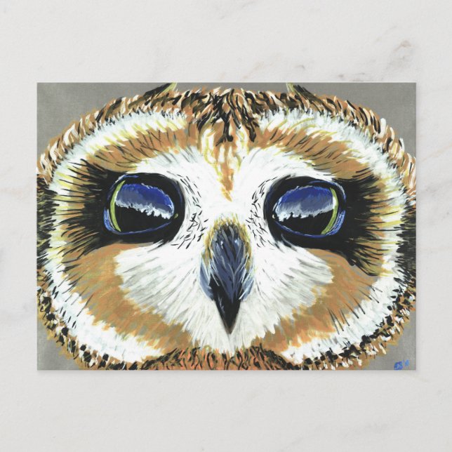 Little Owl Eyes postcard (Front)