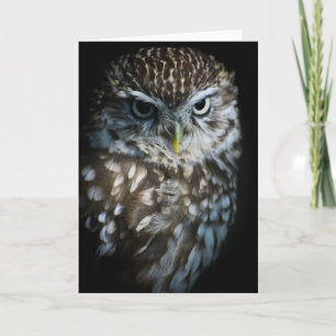 Little Owl Greetings Card