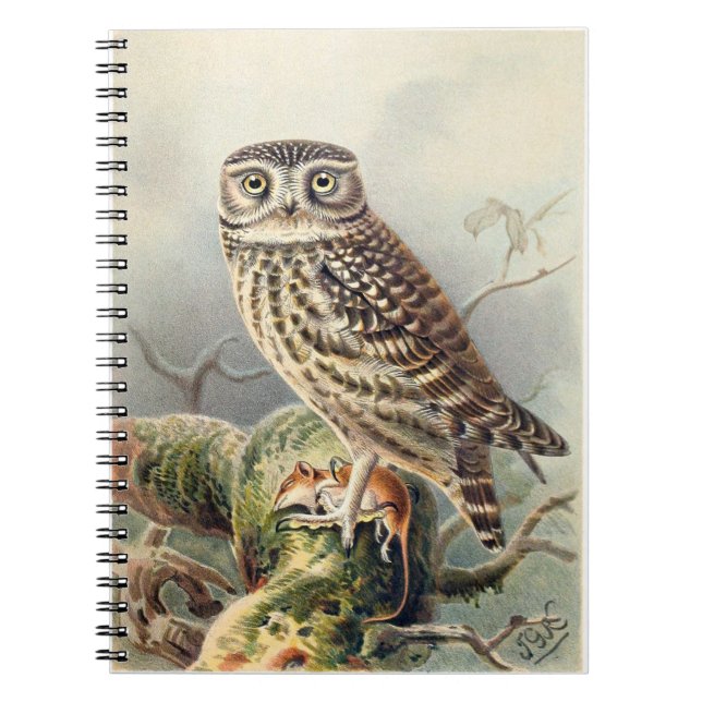 Little Owl Notebook (Front)