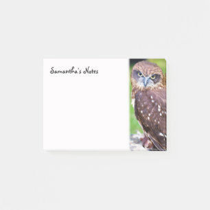 Little Owl Post-It Notes