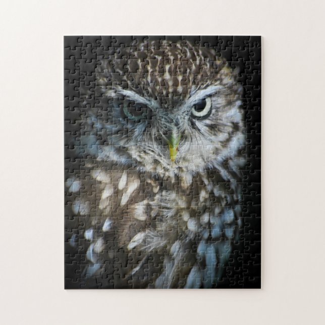 Little Owl Puzzle (Vertical)