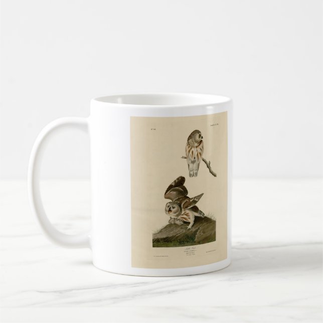 Little Owl (Saw-whet) Audubon's Birds of America Coffee Mug (Left)