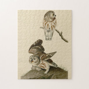 Little Owl (Saw-whet) Audubon's Birds of America Jigsaw Puzzle