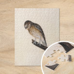 Little Owl | William Lewin Jigsaw Puzzle<br><div class="desc">Little Owl (before 1790) | William Lewin’s Little Owl is a charming and precise painting featuring a small brown owl perched on a branch against a minimalist neutral background. The artwork captures the owl’s expressive gaze, soft feathers, and compact form with great attention to detail. The simple setting enhances the...</div>