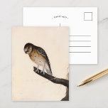 Little Owl | William Lewin Postcard<br><div class="desc">Little Owl (before 1790) | William Lewin’s Little Owl is a charming and precise painting featuring a small brown owl perched on a branch against a minimalist neutral background. The artwork captures the owl’s expressive gaze, soft feathers, and compact form with great attention to detail. The simple setting enhances the...</div>