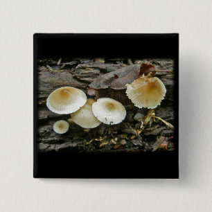 Little Parasols Mushrooms on Log 15 Cm Square Badge