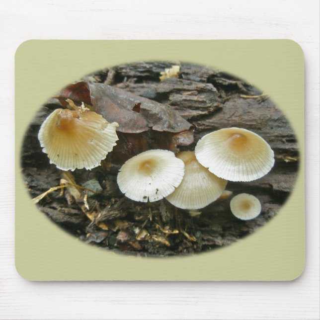 Little Parasols Mushrooms on Log Mouse Mat (Front)