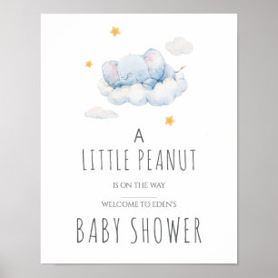 Little Peanut Baby Shower Sign – Girl