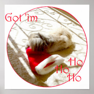 Little Pekingese Grabs Santa Poster
