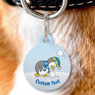 Little penguin getting a snow ball pet tag