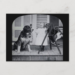 Little Photographer and Her St. Bernard Vintage Postcard