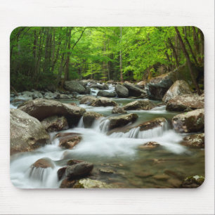 Little Pigeon River at Greenbrier Mouse Mat