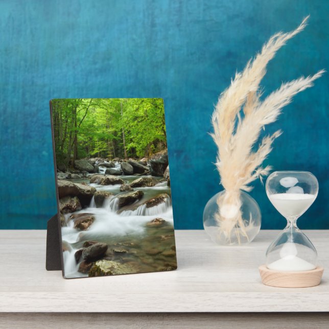 Little Pigeon River at Greenbrier Plaque (Side)