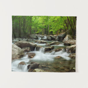 Little Pigeon River at Greenbrier Tapestry