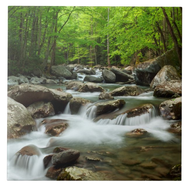 Little Pigeon River at Greenbrier Tile (Front)
