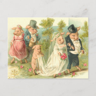 Little Piggy Wedding Postcard