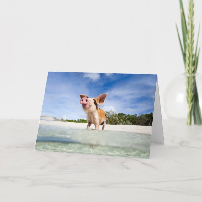 Little piglet card (Front)