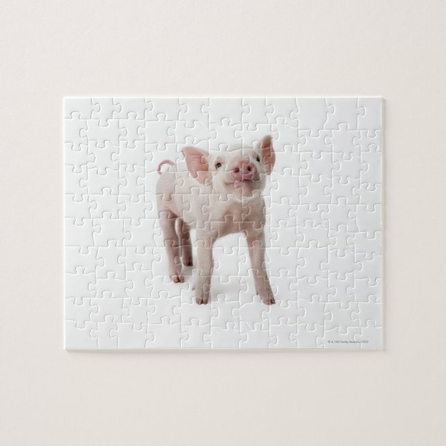 Little Piglet Jigsaw Puzzle (Horizontal)