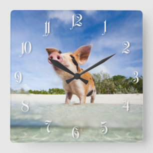 Little piglet square wall clock