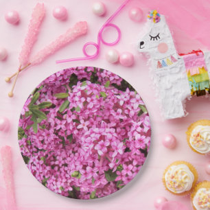 Little Pink Daphne Floral Paper Plate