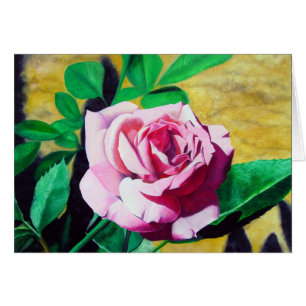 Little Pink Rose