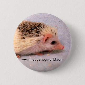 Little pinto button