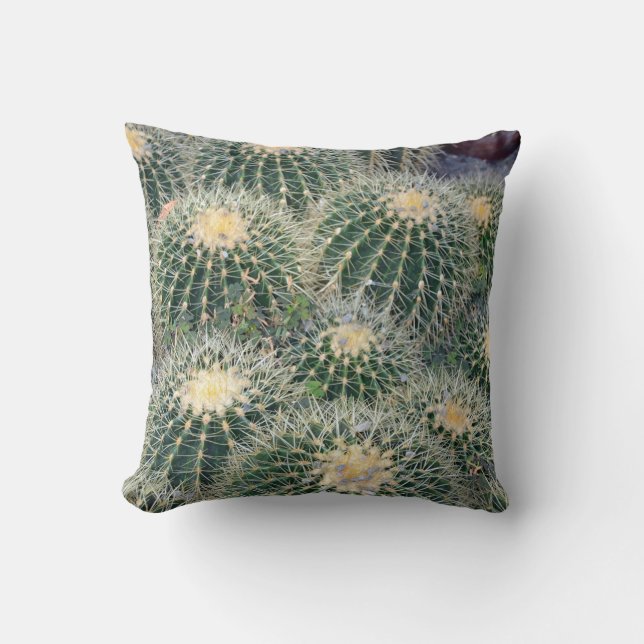 Little prickly cactus throw pillow (Front)