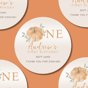 Little Pumpkin Autumn Fall First 1st Birthday  Classic Round Sticker