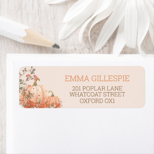 Little Pumpkin Fall Autumn Baby Shower Address (Insitu)