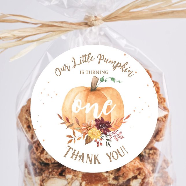 Little Pumpkin Gender Neutral Fall 1st Birthday  Classic Round Sticker (Creator Uploaded)