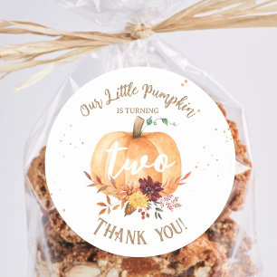 Little Pumpkin Gender Neutral Fall 2nd Birthday  Classic Round Sticker