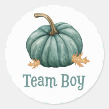 Little Pumpkin Gender Team Boy Reveal Stickers