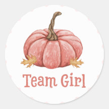 Little Pumpkin Gender Team Girl Reveal Stickers