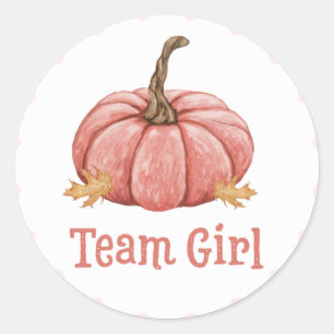 Little Pumpkin Gender Team Girl Reveal Stickers