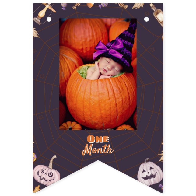 Little Pumpkin Halloween Monthly Photo Bunting (First Flag)