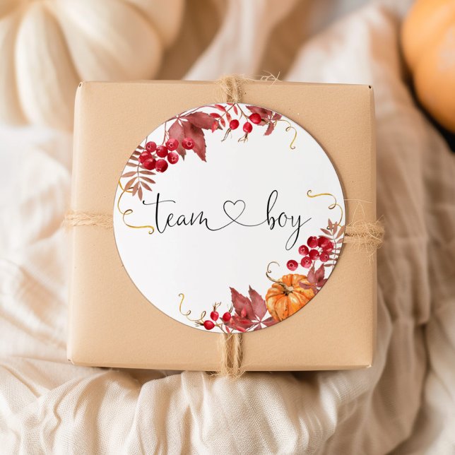 Little pumpkin orange team boy stickers (Creator Uploaded)