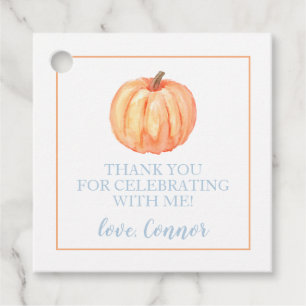 Little Pumpkin Pastel Blue first birthday Favour T Favour Tags