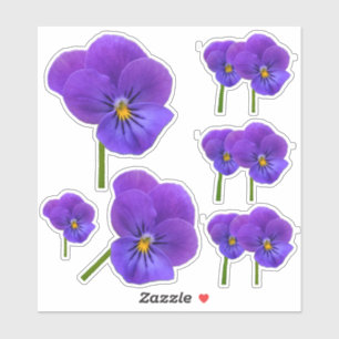 Little Purple Pansies Assortment