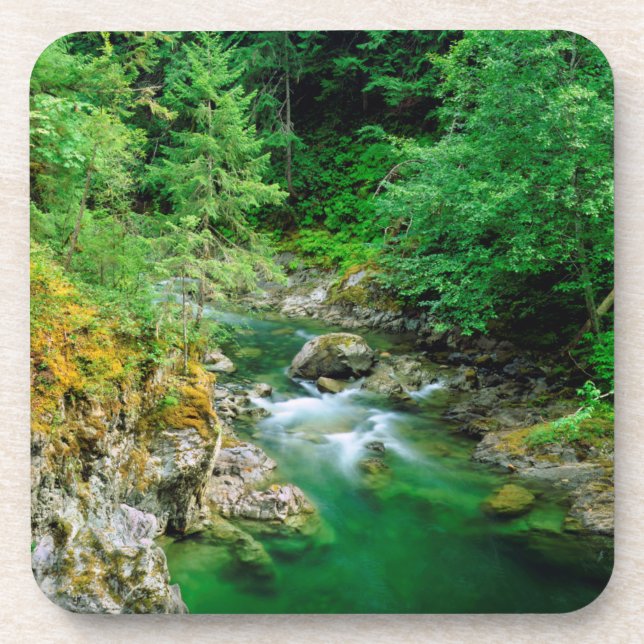 Little Qualicum River Coaster (Front)