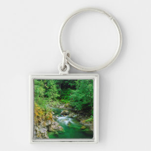 Little Qualicum River Key Ring