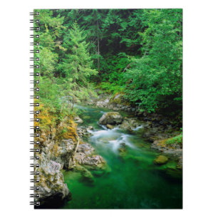 Little Qualicum River Notebook