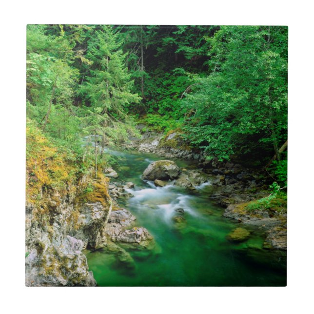 Little Qualicum River Tile (Front)